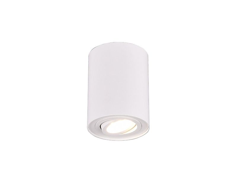TRIO Leuchten LED Deckenstrahler, Dimmfunktion, LED günstig online kaufen