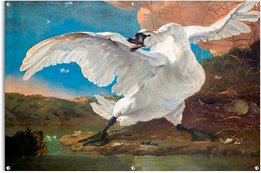 Reinders Poster "Der bedrohte Schwan" günstig online kaufen