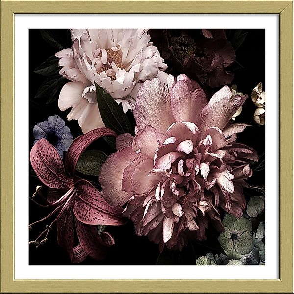 Bild mit Rahmen Anonymus Beautiful Roses 32,5 cm x 32,5 cm günstig online kaufen