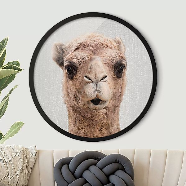 Rundes Gerahmtes Bild Kamel Konrad günstig online kaufen