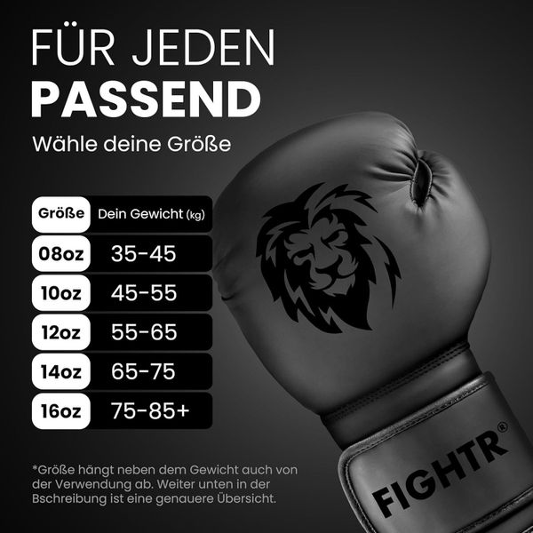 FIGHTR Boxhandschuhe FBG XIV – Stabil günstig online kaufen
