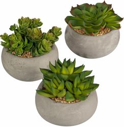 Kunstpflanze Sukkulenten, Creativ green günstig online kaufen