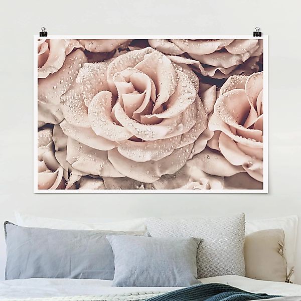 Poster Blumen - Querformat Rosen Sepia mit Wassertropfen günstig online kaufen