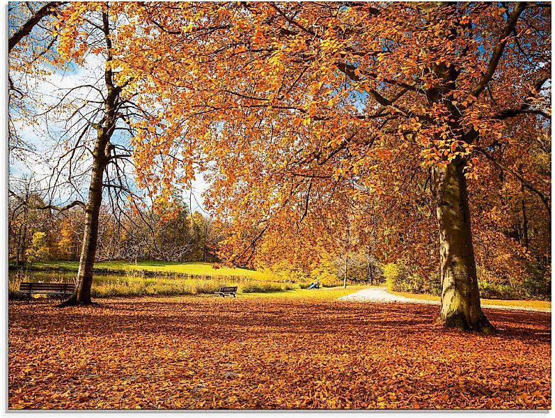 Artland Glasbild "Herbst bei Schlosses Nymphenburg" Wiesen & Bäume 1 Stk. t günstig online kaufen