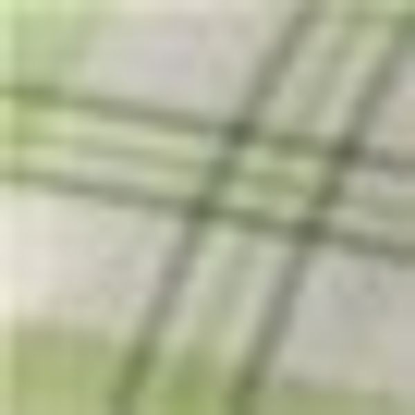 KiNZLER Bettwäsche "Bedruckte Poly-Cotton "Emil"" 2 Stk. tlg. pflegeleicht günstig online kaufen