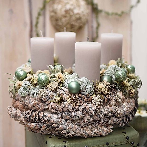 Trockenblume Weißgewaschene Strobus Zapfen 15-20cm, Deko günstig online kaufen