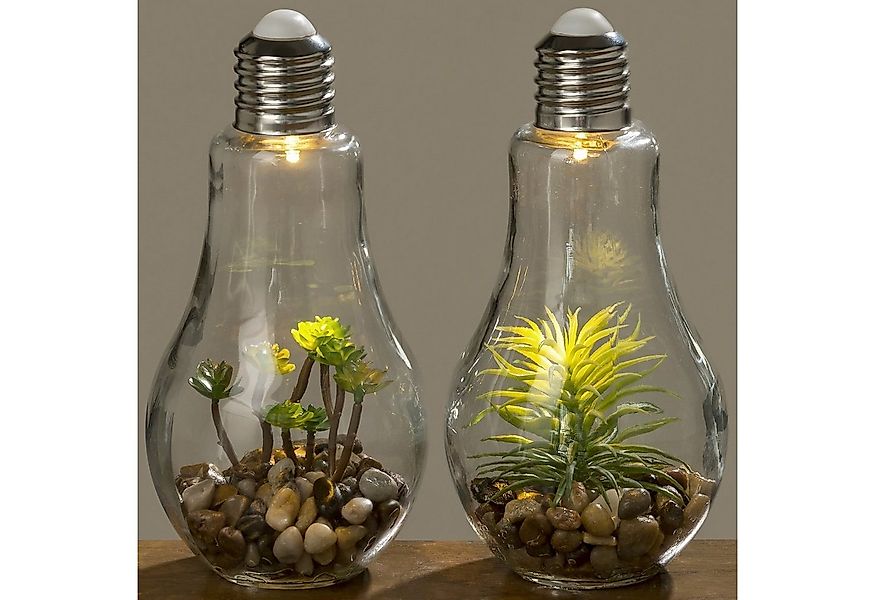 BOLTZE GRUPPE GmbH LED Dekoobjekt LED Tischleuchte mit Pflanze Ø 11 cm H 23 günstig online kaufen