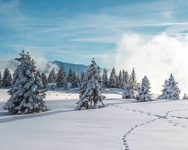 Fototapete "Winterlandschaft" 4,00x2,50 m / Glattvlies Perlmutt günstig online kaufen