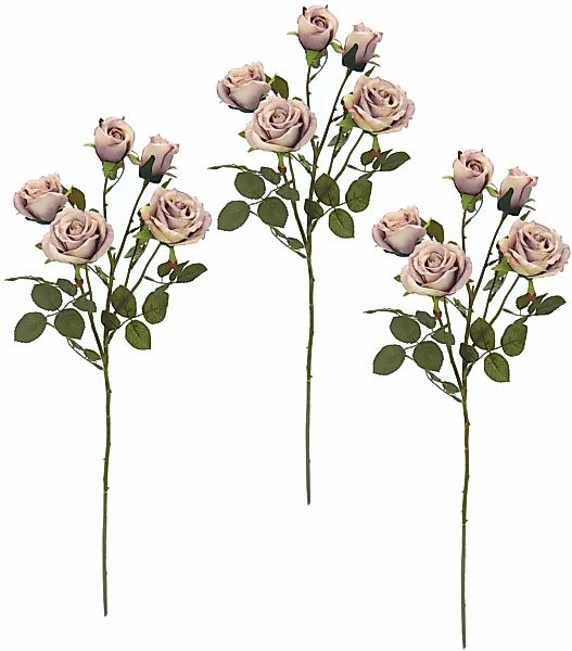 I.GE.A. Kunstblume "Rosenzweig", 3er Set günstig online kaufen