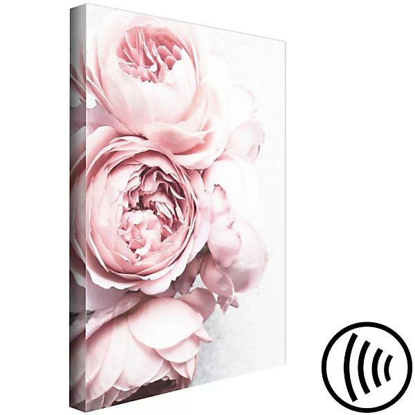 Wandbild Rose Fragrance (1 Part) Vertical XXL günstig online kaufen