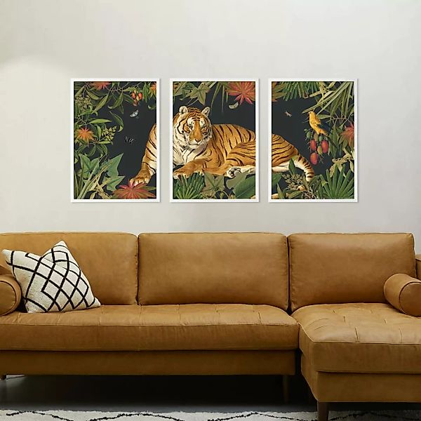 3 x Natural History Museum 'Vintage Tiger' gerahmte Kunstdrucke (A3) - MADE günstig online kaufen