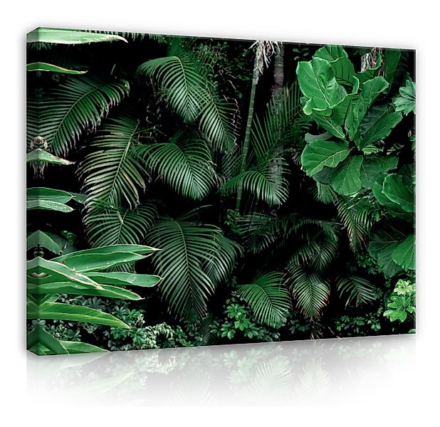 Wallarena Leinwandbild grün Dschungel Blätter Wald günstig online kaufen