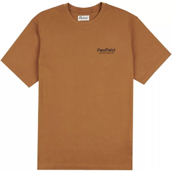 Penfield  T-Shirts & Poloshirts T-shirt  Arc Mountain Back Graphic günstig online kaufen