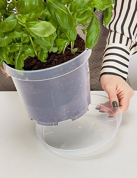 Garronda Blumentopfuntersetzer Blumentopf Untersetzer GD-0026, Zubehör für günstig online kaufen