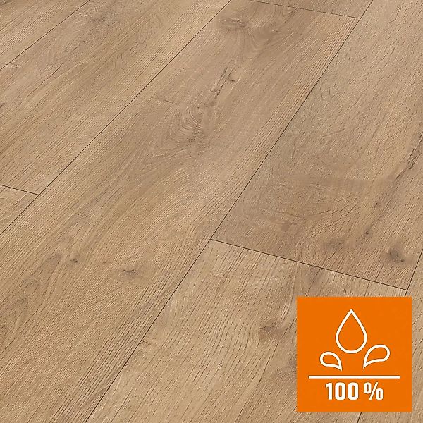 Classen XL Laminat 8 mm Wasserfest Eiche Graubraun günstig online kaufen