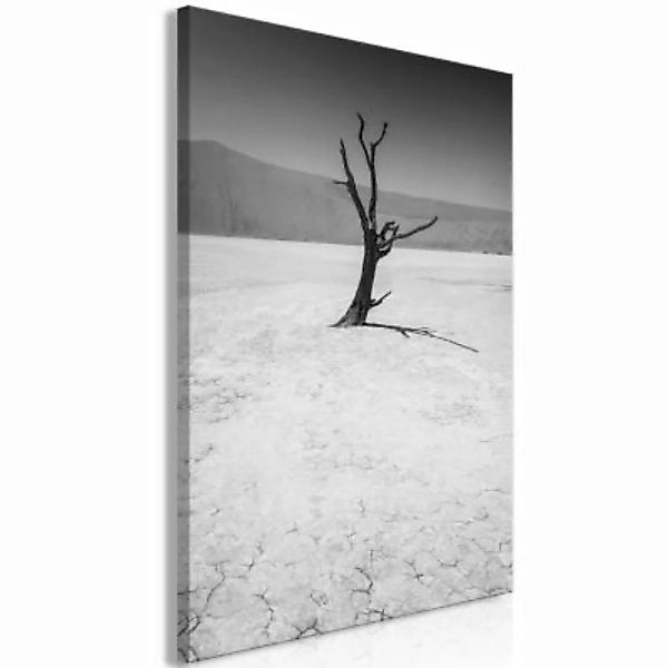 artgeist Wandbild Tree in the Desert (1 Part) Vertical schwarz/weiß Gr. 40 günstig online kaufen