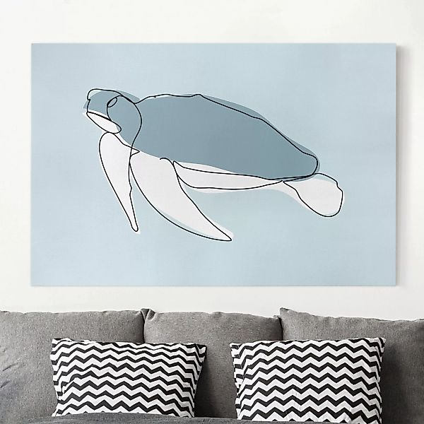 Leinwandbild Tiere - Querformat Schildkröte Line Art günstig online kaufen