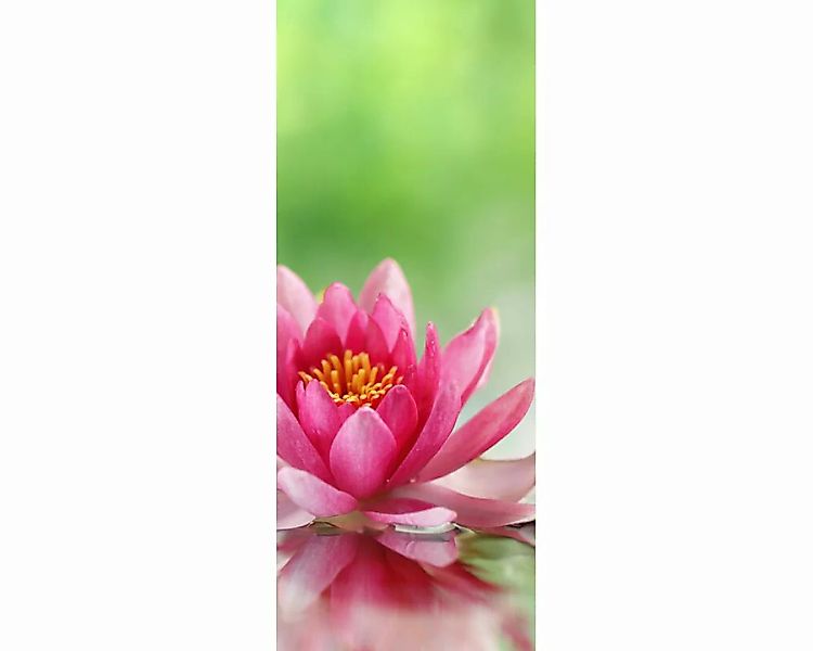 Dekopanel "Lilie in Natur" 1,00x2,50 m / Strukturvlies Klassik günstig online kaufen