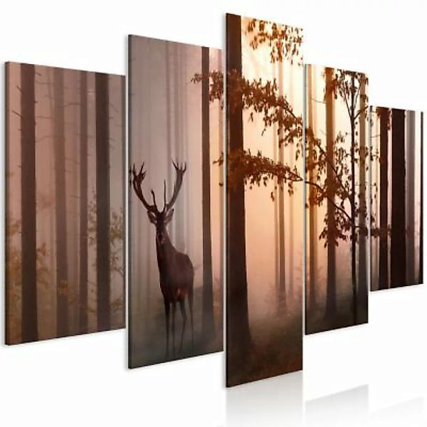 artgeist Wandbild Morning (5 Parts) Wide Brown braun Gr. 200 x 100 günstig online kaufen