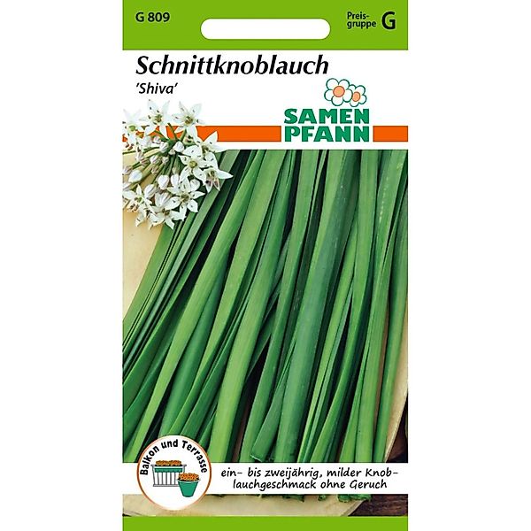 SAMEN PFANN Schnittknoblauch Shiva günstig online kaufen