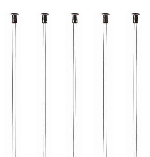 SOFT-RAIL Perlonseil mit Tellergleiter, Ø 2,0 mm in versch. Längen Seil (Se günstig online kaufen