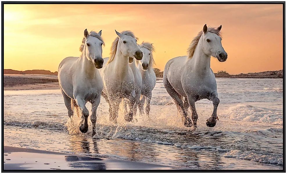 Papermoon Infrarotheizung »Pferde im Wasser«, sehr angenehme Strahlungswärm günstig online kaufen