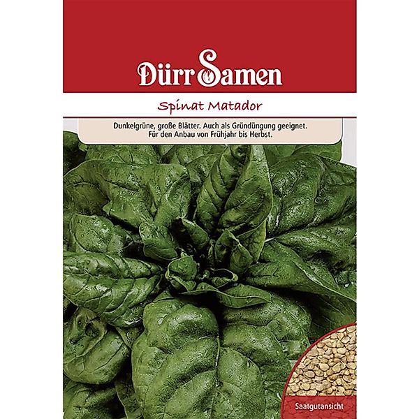 Dürr Samen Gründüngung Spinat Matador 250 G Saatgut günstig online kaufen