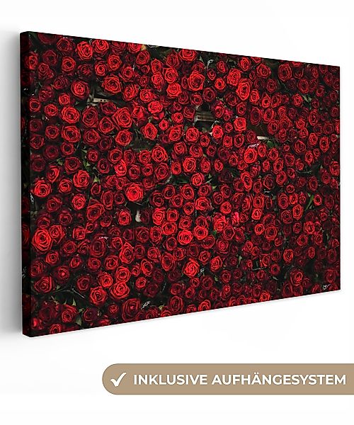 OneMillionCanvasses® Leinwandbild Blumen - Rosen - günstig online kaufen
