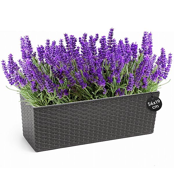 KONZEPT Balkonkasten Hochwertige Blumenkasten Rattan-Optikin, rechteckig günstig online kaufen