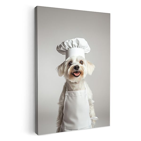 OneMillionCanvasses® Leinwandbild Hund - Weiß - günstig online kaufen