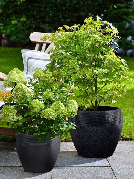 Scheurich Blumentopf 30/282 LINEO günstig online kaufen