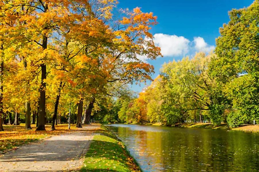 Papermoon Fototapete »River in Autumn Park« günstig online kaufen
