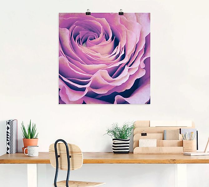 Artland Wandbild "Lila Rose", Blumen, (1 St.) günstig online kaufen
