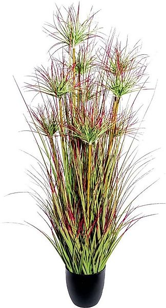 Kunstgras Cyperngrasbusch Gras, Creativ green, Höhe 125 cm günstig online kaufen
