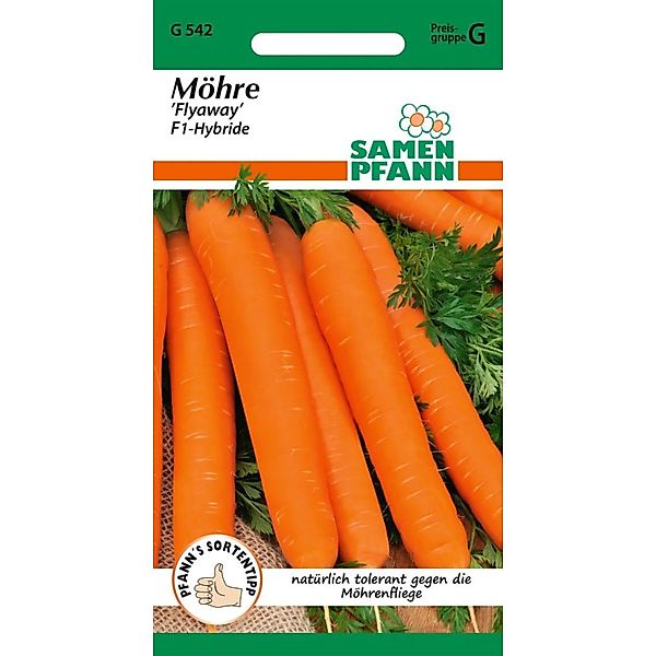 SAMEN PFANN Möhre Flyaway günstig online kaufen