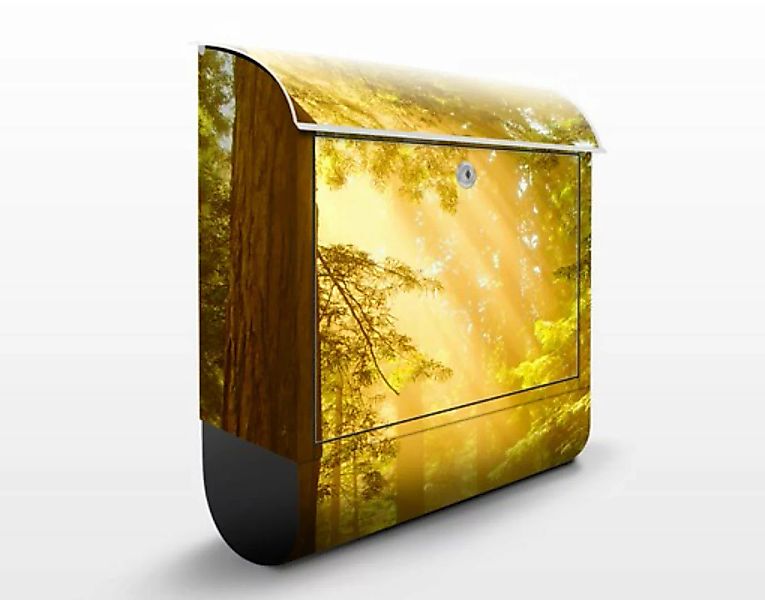 Briefkasten Natur & Landschaft Morgengold günstig online kaufen