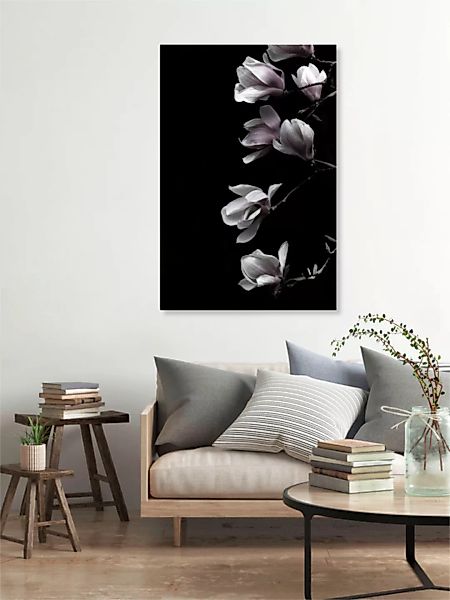 Poster / Leinwandbild - Magnolia On Black günstig online kaufen