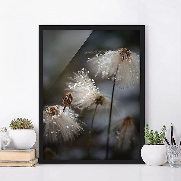 Bild mit Rahmen Blumen - Hochformat Pusteblumen mit Schneeflocken günstig online kaufen