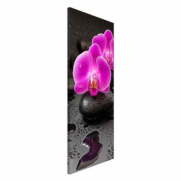 Magnettafel Pinke Orchideenblüten auf Steinen mit Tropfen günstig online kaufen