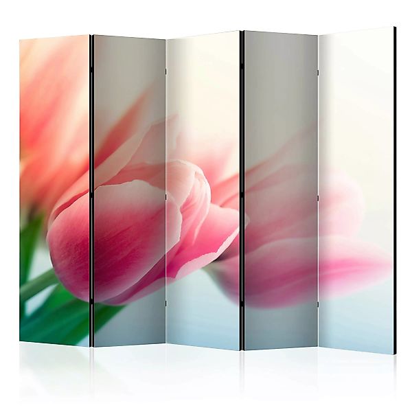 5-teiliges Paravent - Spring And Tulips Ii [room Dividers] günstig online kaufen