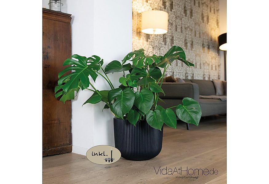 VidaAtHome.de Blumentopf Design-Pflanztopf CYRA ø 40er mit Bewässerungseins günstig online kaufen