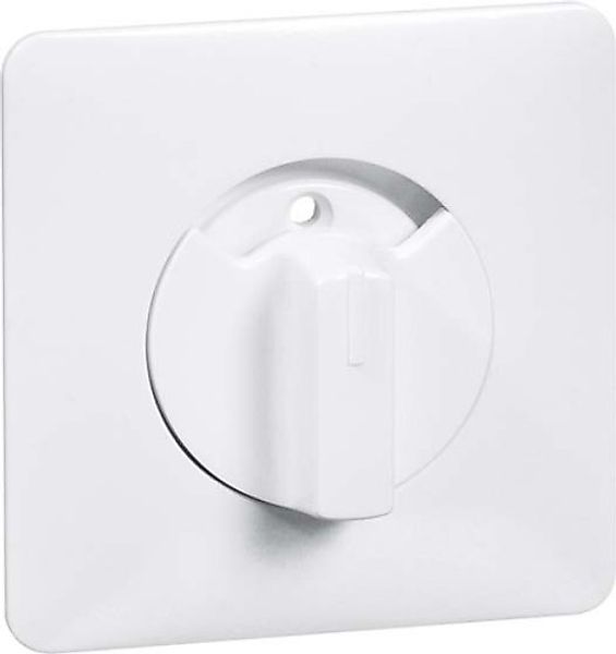 Peha Zentralplatte Knebel rws für Rollladen-Taster D 80.610.02 ZJ - 0013321 günstig online kaufen