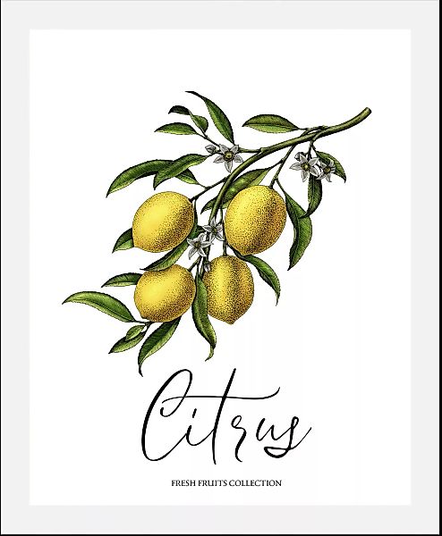 queence Bild "Citrus", (1 St.) günstig online kaufen