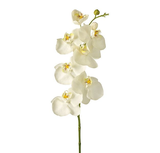 Kunstorchidee Leonardo Künstliche Blumenpflanze, künstliche Pflanzen, Phala günstig online kaufen