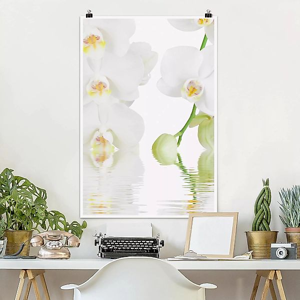 Poster Blumen - Hochformat Wellness Orchidee - Weiße Orchidee günstig online kaufen