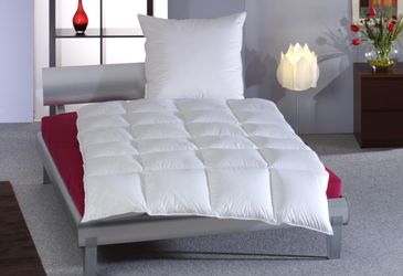 Haeussling Daunenbettdecke "Swiss Royal, Bettdecken für Sommer und Winter, günstig online kaufen