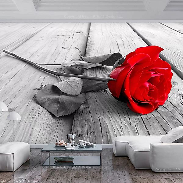 Selbstklebende Fototapete - Abandoned Rose günstig online kaufen