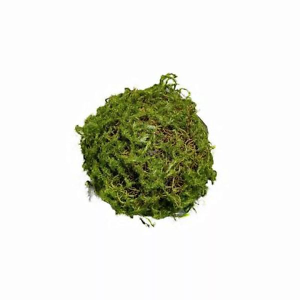 HTI-Living Mooskugel 18 cm Kunstpflanze Flora grün günstig online kaufen