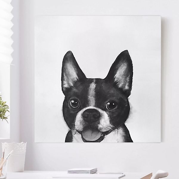 Leinwandbild - Quadrat Illustration Hund Boston Schwarz Weiß Malerei günstig online kaufen