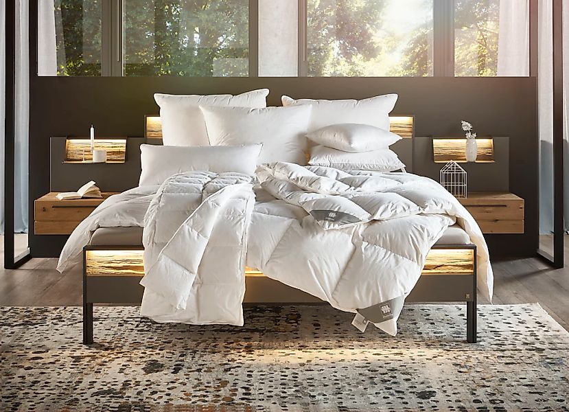 Musterring Daunenbettdecke "Dreamz" extrawarm Füllung 100Daunen 1 Stk. tlg. günstig online kaufen